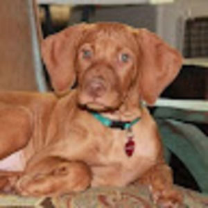 Meet your Posher, Gabrielle